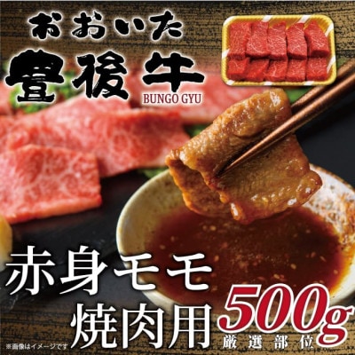 おおいた豊後牛赤身モモ焼肉用 500g(日出町)【配送不可地域：離島】【1571695】