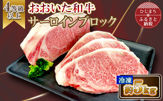 おおいた和牛サーロインブロック 5kg【配送不可地域：離島】【1701002】