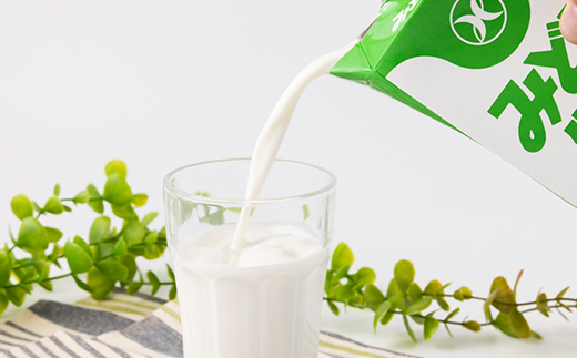 みどり牛乳1L×12本 ロングライフ商品(日出町)【1613016】