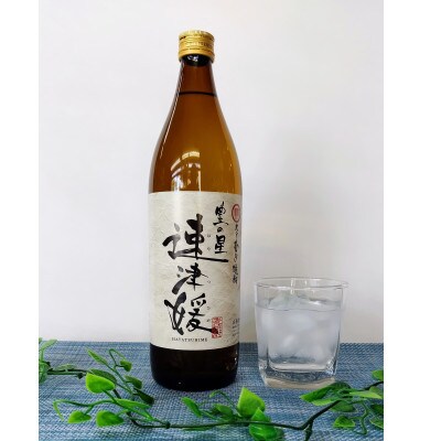 大分むぎ焼酎　二階堂速津媛2本と吉四六の故郷2本25度(900ml)4本セット【1456985】