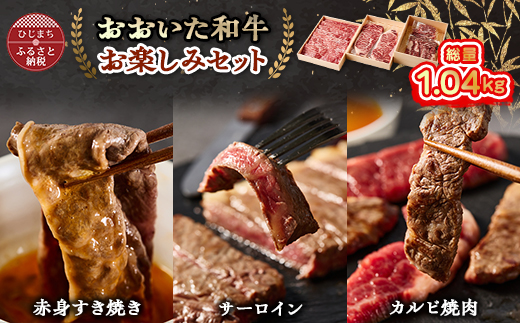 おおいた和牛 お楽しみセット(カルビ焼肉・赤身すき焼き・サーロインステーキ)【配送不可地域：離島】【1395461】