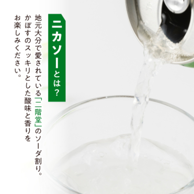 【大分限定】大分むぎ焼酎 二階堂 #ニカソー缶カボス 350ml×24本【1678183】