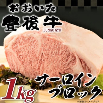 【厳選部位】おおいた豊後牛サーロインブロック(1kg)(日出町)【配送不可地域：離島】【1571758】