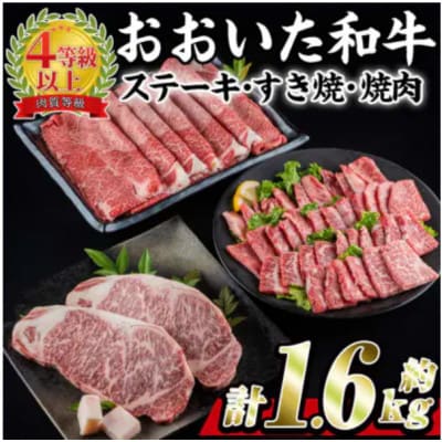 おおいた和牛3種セット 合計1.66kg(サーロインステーキ・すき焼き/しゃぶしゃぶ用・焼肉用)【配送不可地域：離島】【1700678】