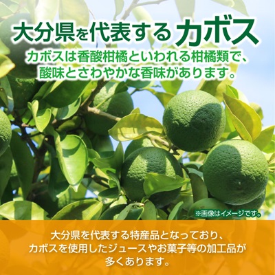 縺、縺カ繧峨↑繧ォ繝懊せ縲縺ッ縺。縺ソ縺、蜈・繧(30譛ャ)縲1078412縲