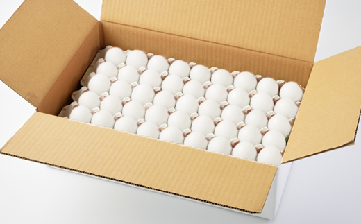 大分生まれのAW飼い「豊の米卵」10kg(白卵)【配送不可地域：離島】【1714035】