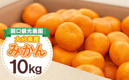 温州みかん約10キロ【1727487】