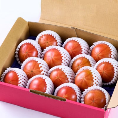 2026年1月中旬から順次発送【糖度8度以上】あま〜いトマト「トマ王 潮」約2kg【配送不可地域：離島】【1087106】