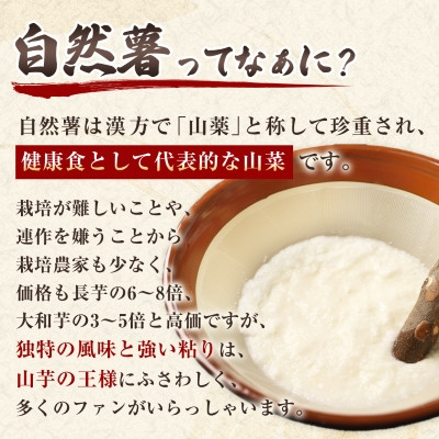 縲先焚驥城剞螳壹第律蜃コ逕コ逕」閾ェ辟カ阮ッ縲後ュ縺ー繧翫#縺嶺ク譛ャ縲 (800g)縲1134764縲