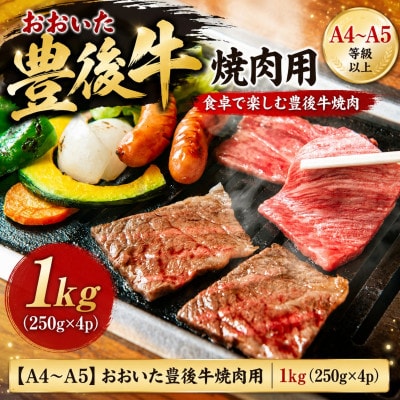 ãA4ãA5ãããããè±åŸççŒèçš 1kg(250gÃ4p)ãé
éäžå¯å°åïŒé¢å³¶ãã1764397ã