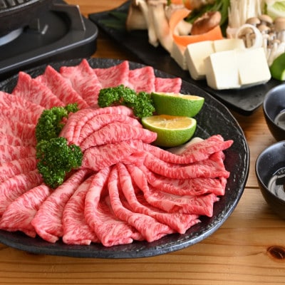 【2ヵ月毎定期便】おおいた和牛たべつくし(日出町)全6回【配送不可地域：離島】【4070264】