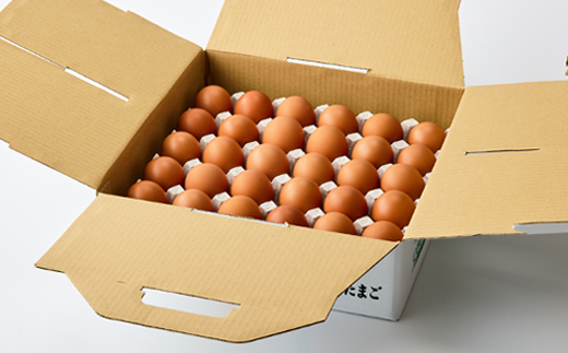 大分生まれのAW飼い有精卵「豊の米卵」30個入り【配送不可地域：離島】【1610938】