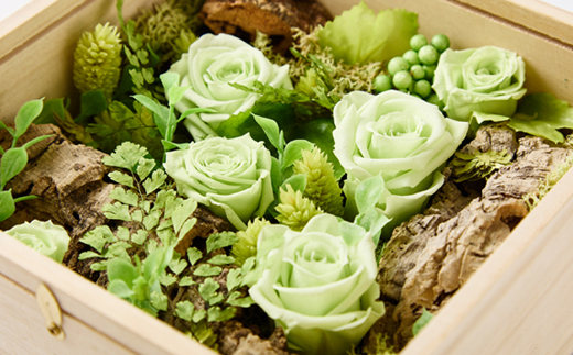 プリザーブドフラワー緑【1624482】