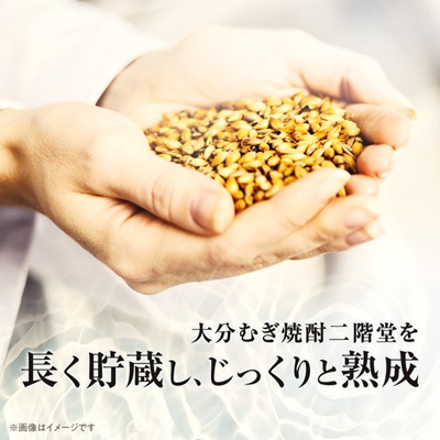 大分むぎ焼酎　二階堂吉四六つぼ25度(720ml)6本セット【1550331】