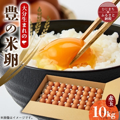 大分生まれのAW飼い有精卵「豊の米卵」10kg(赤卵)【配送不可地域：離島】【1714037】