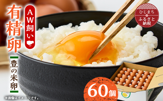 大分生まれのAW飼い有精卵「豊の米卵」60個入り【配送不可地域：離島】【1610936】