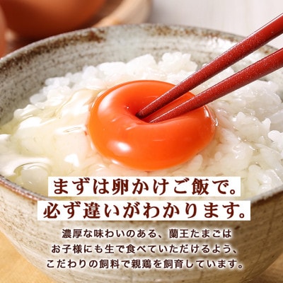 蘭王たまご　10個入り2パック　ギフト箱でお届け【1519751】