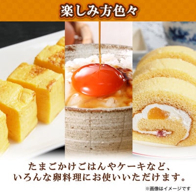 蘭王たまご　10個入り2パック　ギフト箱でお届け【1519751】