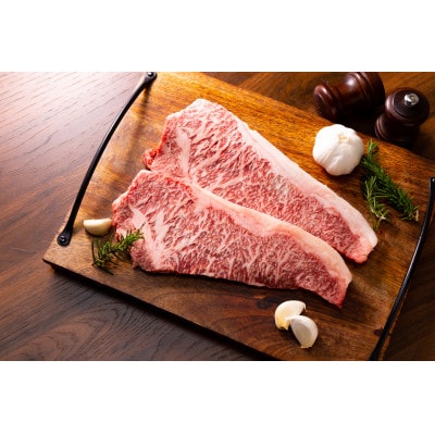 【毎月定期便】おおいた豊後牛サーロインステーキセット 500g(250g×2枚)(日出町)全3回【配送不可地域：離島】【4074135】