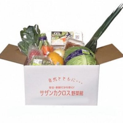 産地直送!旬の朝採れ野菜のセット(9〜13種程度)【配送不可地域：離島】【1088636】