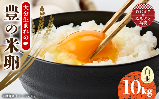 大分生まれのAW飼い有精卵「豊の米卵」10kg(白卵)【配送不可地域：離島】【1714035】