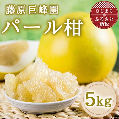 倧åçæ¥åºçºç£ãããŒã«æ5kgã1726374ã