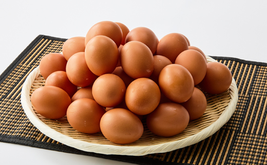 大分生まれのAW飼い「豊の米卵」10kg(赤卵)【配送不可地域：離島】【1714037】