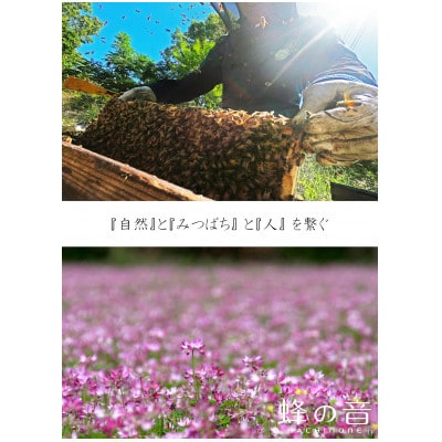 【詰め替え用】純粋国産百花蜂蜜700g×2【1312399】