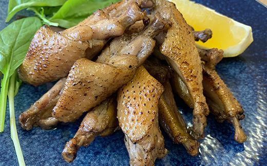 【ファミリーサイズ500g】おおいた冠地どりチキンバー直火焼き【配送不可地域：離島】【1631785】