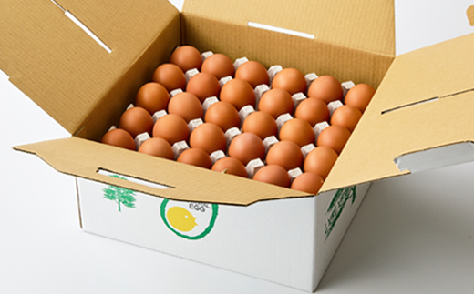 大分生まれのAW飼い有精卵「豊の米卵」60個入り【配送不可地域：離島】【1610936】