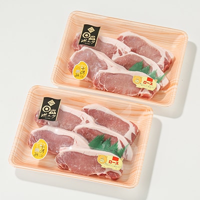 【日出ポーク】豚ロース100g×10枚【配送不可地域：離島】【1098110】