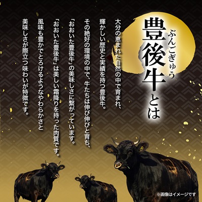 豊後牛ももしゃぶしゃぶ(600g) ギフトにもおすすめな人気のしゃぶしゃぶ用お肉【配送不可地域：離島】【1078153】