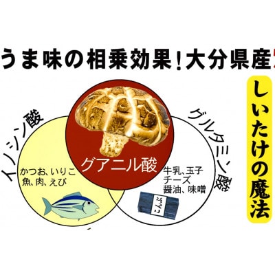 大分県産乾椎茸　旨味のお試し　詰め合わせ【1663658】