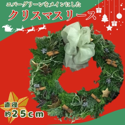 【2026年11月下旬より順次発送予定】日出町からお届け!クリスマスのメインにもなれる自慢のリース♪【配送不可地域：離島】【1743091】