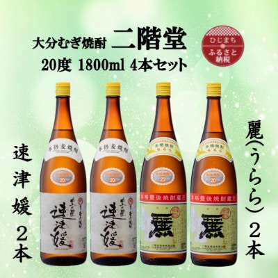 大分むぎ焼酎　二階堂速津媛2本と麗(うらら)20度(1800ml)4本セット【1494852】