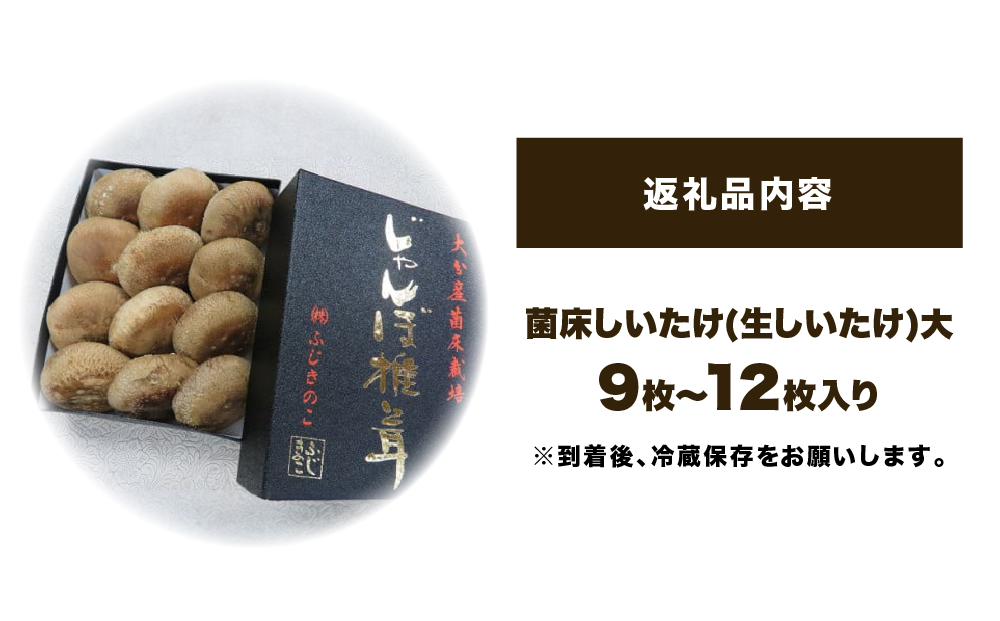 縺オ縺倥″縺ョ縺灘宍驕ク繧ク繝」繝ウ繝懈、手減( 逕溘@縺縺溘¢ ) 縺オ縺倥″縺ョ縺 蜴ウ驕ク 繧ク繝」繝ウ繝 讀手減 逕溘@縺縺溘¢ 邂ア蜈・繧 雍育ュ皮畑 雍医j迚ゥ 閧牙字 縺励>縺溘¢ 辣ョ迚ゥ 骰 辟シ縺 繝舌ち繝シ驢、豐ケ 繝医シ繧ケ繧ソ繝シ 繧ェ繝シ繝悶Φ繧ク繝・繝シ繧キ繝シ 蜀キ阡オ菫晏ュ