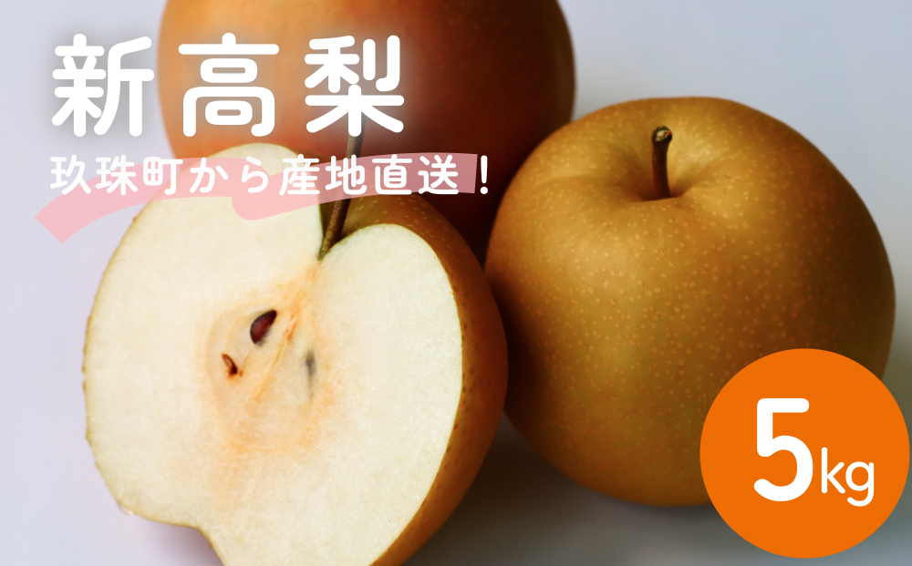 【先行受付】令和8年産 【新高】なかしま農園の 梨 5kg にいたか 梨 旬 果物 フルーツ 先行受付 産地直送