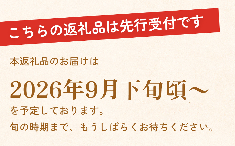 【先行受付】令和8年産 【新高】なかしま農園の 梨 5kg にいたか 梨 旬 果物 フルーツ 先行受付 産地直送