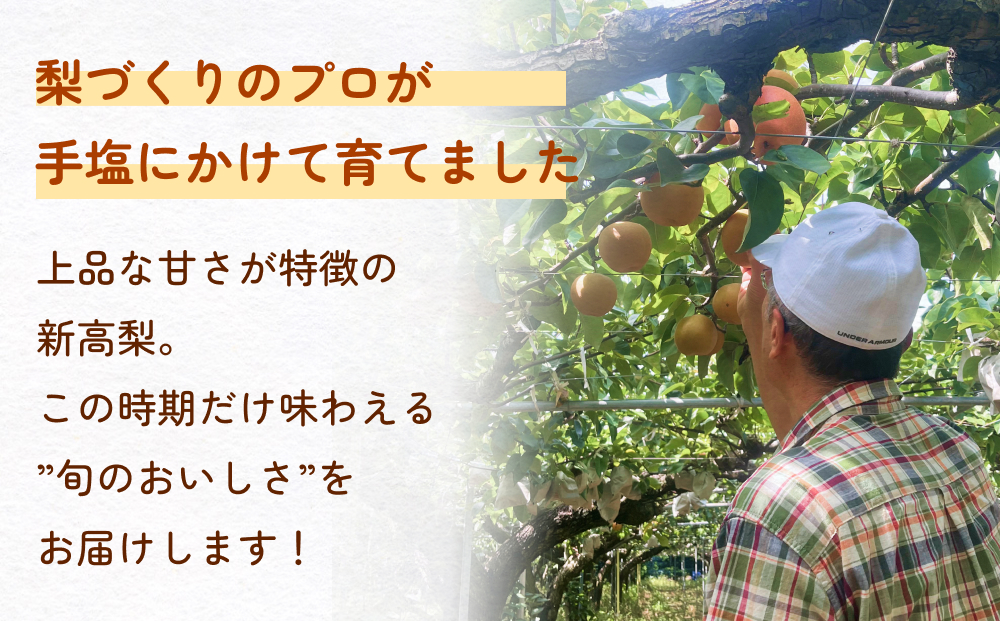 縲仙郁。悟女莉倥台サ、蜥8蟷エ逕」 縲先眠鬮倥代↑縺九@縺セ霎イ蝨偵ョ 譴ィ 5kg 縺ォ縺縺溘° 譴ィ 譌ャ 譫懃黄 繝輔Ν繝シ繝 蜈郁。悟女莉 逕」蝨ー逶エ騾