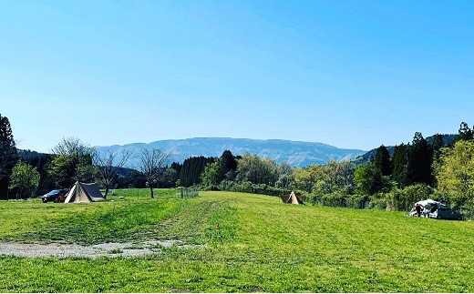 キャンプ＆農園玖珠の杜で使える3,000円チケット キャンプ チケット 利用券 旅行 アウトドア バーベキュー BBQ 温泉 野菜 宿泊 畑 収穫 農業体験 星空 大自然 牧場 薪 テント 玖珠の杜 九州 大分 温泉施設