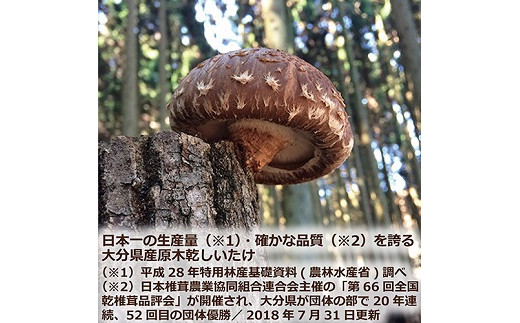 螟ァ蛻逕」讀手減縺ゥ繧薙% 70g 螟ァ蛻逵 縺ゥ繧薙% 荵セ辯・ 讀手減 縺励>縺溘¢ 蟷イ縺励@縺縺溘¢ 蜴滓惠譬ス蝓ケ 逕溽肇驥 譌・譛ャ荳 讀手減譛ャ譚・ 蜻ウ 鬥吶j 譌ィ縺ソ 蜃コ豎 縺縺 蜥碁」 荳ュ闖ッ 縺倥▲縺上j 豌エ謌サ縺 貊句袖 讀手減鬲蜉 譁咏炊 荵セ迚ゥ 驥手除 繧ュ繝弱さ 繧ュ繝弱さ鬘 譁咏炊邏譚 鬚ィ蜻ウ 豼縺 隱ソ逅 鄒主袖縺励>