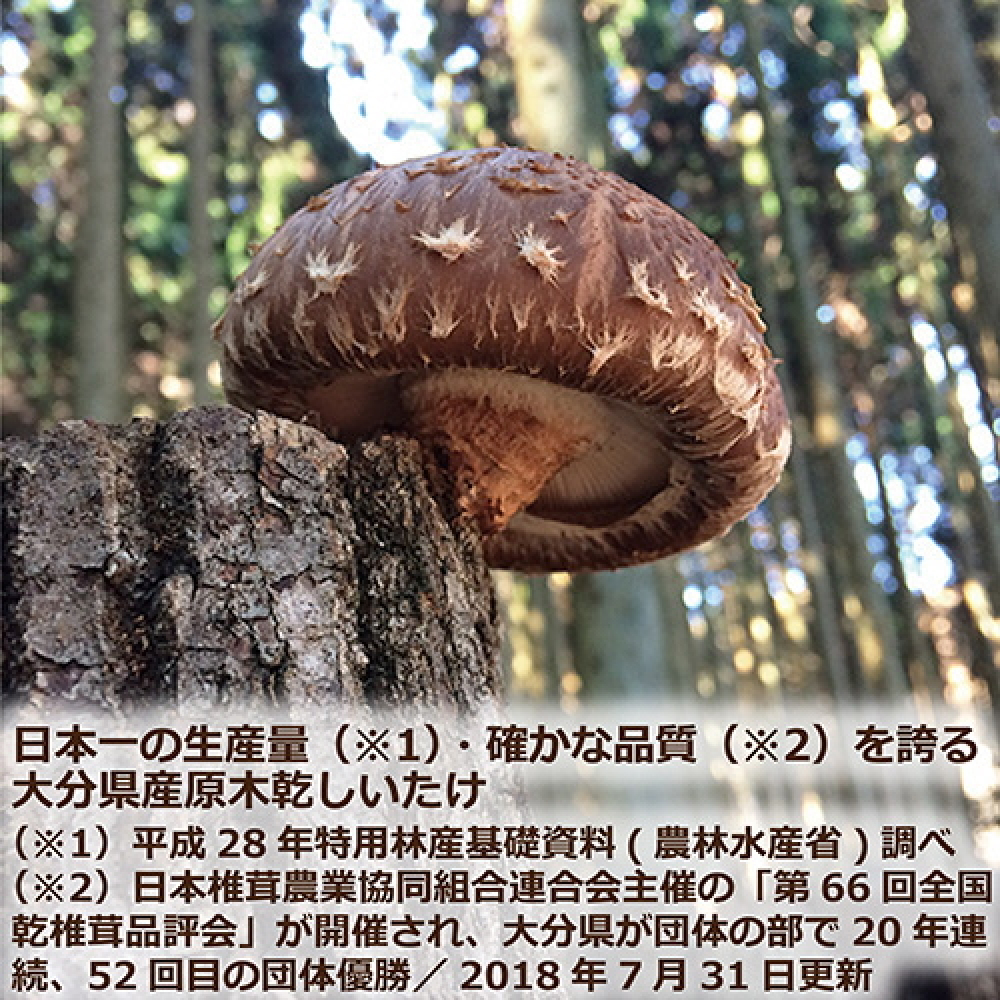 大分産椎茸こうしん 150g（50g×3袋）大分 椎茸 しいたけ 干ししいたけ 乾燥しいたけ 原木 水戻し 香り 味 和食 中華 小分け お裾分け 保存 香ばしい 旨み 大分しいたけ シンボルマーク シリアル番号 食材 国産 風味たっぷり 安心 美味しい