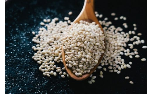 大分県産もち麦250g入り袋×6個 もち麦 九州 大分県 玖珠町 寒冷地 栽培 甘み 風味 特産品 麦ご飯 炊き方 白米 チャーハン カレー 雑炊 アレンジ 料理 玄米 栄養 健康 食物繊維 ヘルシー 炊飯器 釜 炊飯 米料理 ご飯