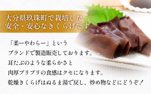 きくらげピクルス（4種）と乾燥きくらげのセット きくらげ ピクルス 乾燥きくらげ 国産 大分県 玖珠町 栽培 安全 安心 柔らか 肉厚 食感 ぬるま湯 戻し 炒め物 スタンダード 甘め 女性 人気 あっさり 唐辛子 しょうが 風味 食感 しいたけ 醤油 香り おかず おつまみ