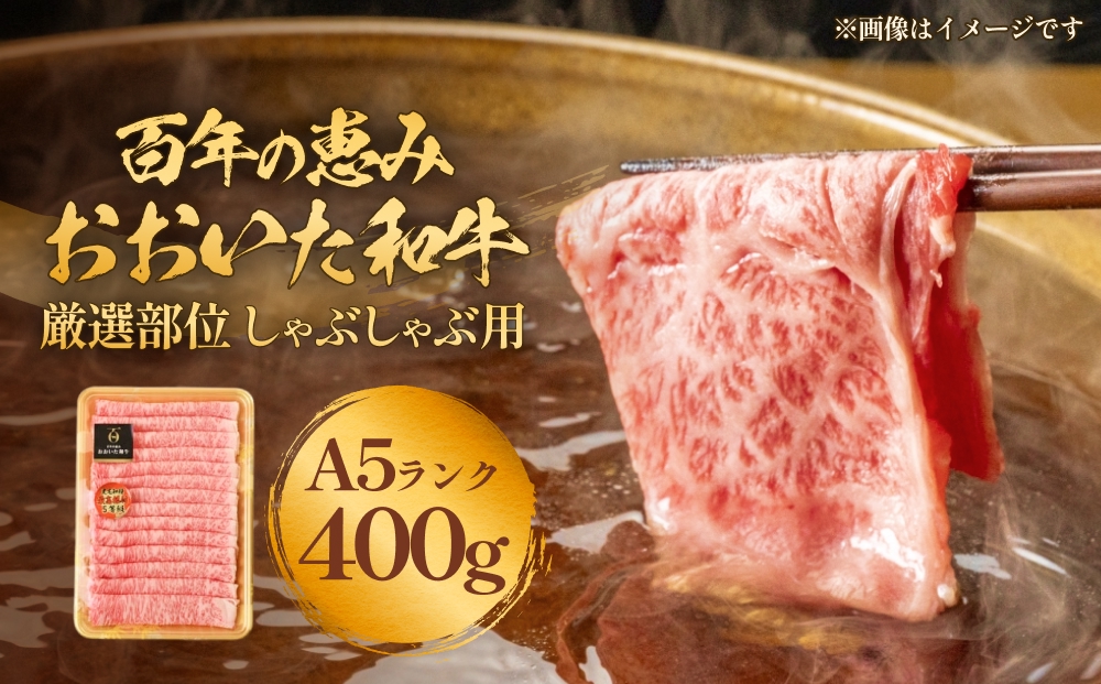 「百年の恵み おおいた和牛」A5しゃぶしゃぶ 400g おおいた和牛 黒毛和牛 牛肉 すき焼き用 A5等級 大分県 霜降り ロース 肩ロース もも 肩部位 スライス 風味 豊か 脂肪質 種雄牛 血統 厳選部位