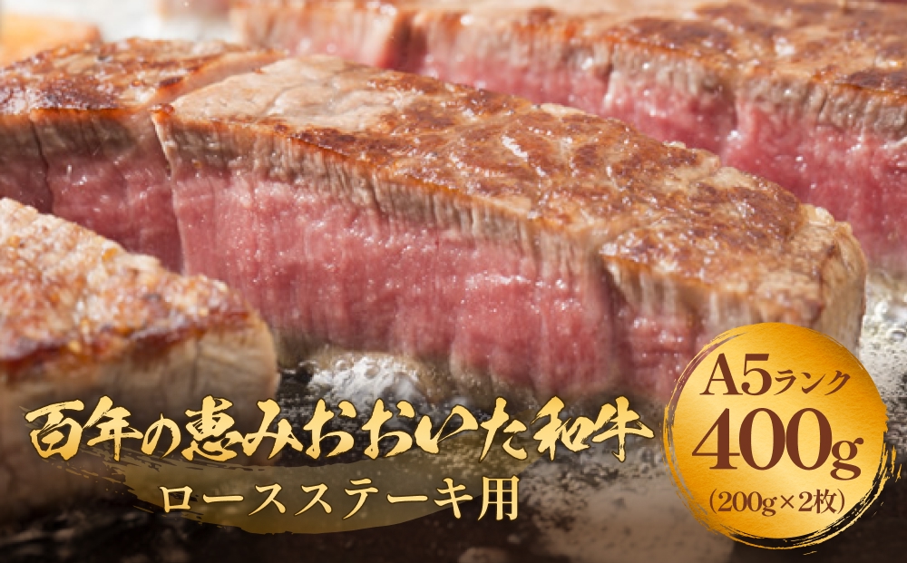 「百年の恵み おおいた和牛 」A5 ロースステーキ用 200g×２枚 おおいた和牛 A5 黒毛和牛 ロース ステーキ 大分 肉 質 霜降り 風味 脂肪 血統 牛肉 上位等級 上質 和牛肉