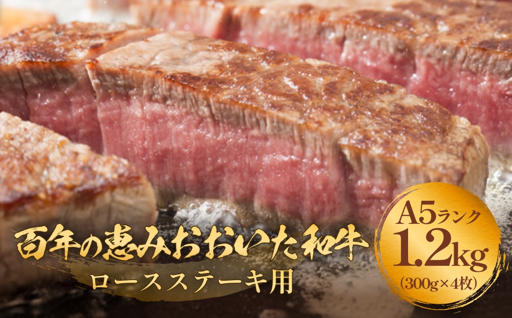 「百年の恵み おおいた和牛 」A5 ロースステーキ用 300g×４枚 おおいた和牛 黒毛和牛 A5 ロースステーキ 和牛 牛肉 霜降り 大分 上位等級 風味 種雄牛 血統 食材 ステーキ 高級食材 冷凍 霜降り牛 料理用 贈答品