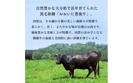 縺翫♀縺縺溯ア雁セ檎央 鮟呈ッ帛柱遞ョ 繧オ繝シ繝ュ繧、繝ウ繧ケ繝繝シ繧ュ 220gテ4譫 縺翫♀縺縺 雎雁セ檎央 鮟呈ッ帛柱遞ョ 繧オ繝シ繝ュ繧、繝ウ 繧ケ繝繝シ繧ュ 迚幄i 蜥檎央 螟ァ蛻逵 髴憺剄繧 譟斐i縺九> 縺セ繧阪d縺 逕倥∩ 螟ゥ逧雉 霎イ譫玲ーエ逕」螟ァ閾」雉 蜀髢」邱冗炊螟ァ閾」雉 陦邨ア 驟埼#謖螳