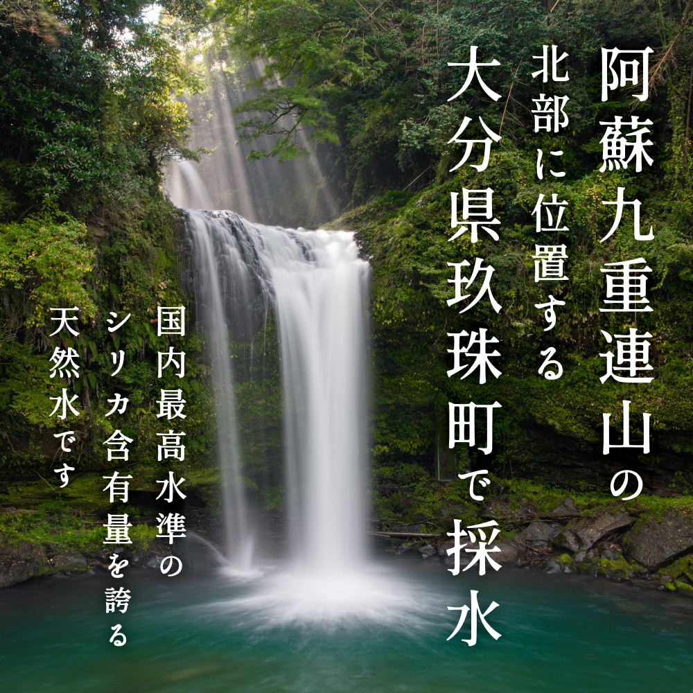 縲先怙遏ュ蠖捺律逋コ騾√代先焚驥城剞螳壹大、ゥ辟カ豌エ 繧キ繝ェ繧ォ 525ml テ 40譛ャ シ懊す繝ェ繧ォ縺。繧繧薙懃事迴縺ョ螟ゥ辟カ豌エ縲懶シ 豌エ 豌エ 500ml 500ml 螟ゥ辟カ豌エ 螟ゥ辟カ豌エ 繝ゥ繝吶Ν繝ャ繧ケ 螟ゥ辟カ繧キ繝ェ繧ォ豌エ 豌エ 繝溘ロ繝ゥ繝ォ繧ヲ繧ゥ繝シ繧ソ繝シ 蝗ス逕」 菫晏ュ伜庄閭ス 豌エ 髦イ轣ス 蛯呵塘 繧キ繝ェ繧ォ豌エ 繧キ繝ェ繧ォ豌エ SDGs