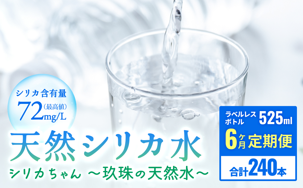 【6ヶ月定期便】天然水 シリカ 525ml × 40本 ＜シリカちゃん〜玖珠の天然水〜＞   水 水 500ml 500ml 天然水 天然水 ラベルレス 天然シリカ 水 シリカ水 ミネラルウォーター 国産 保存可能 水 防災 備蓄 シリカ水 シリカ水 SDGs